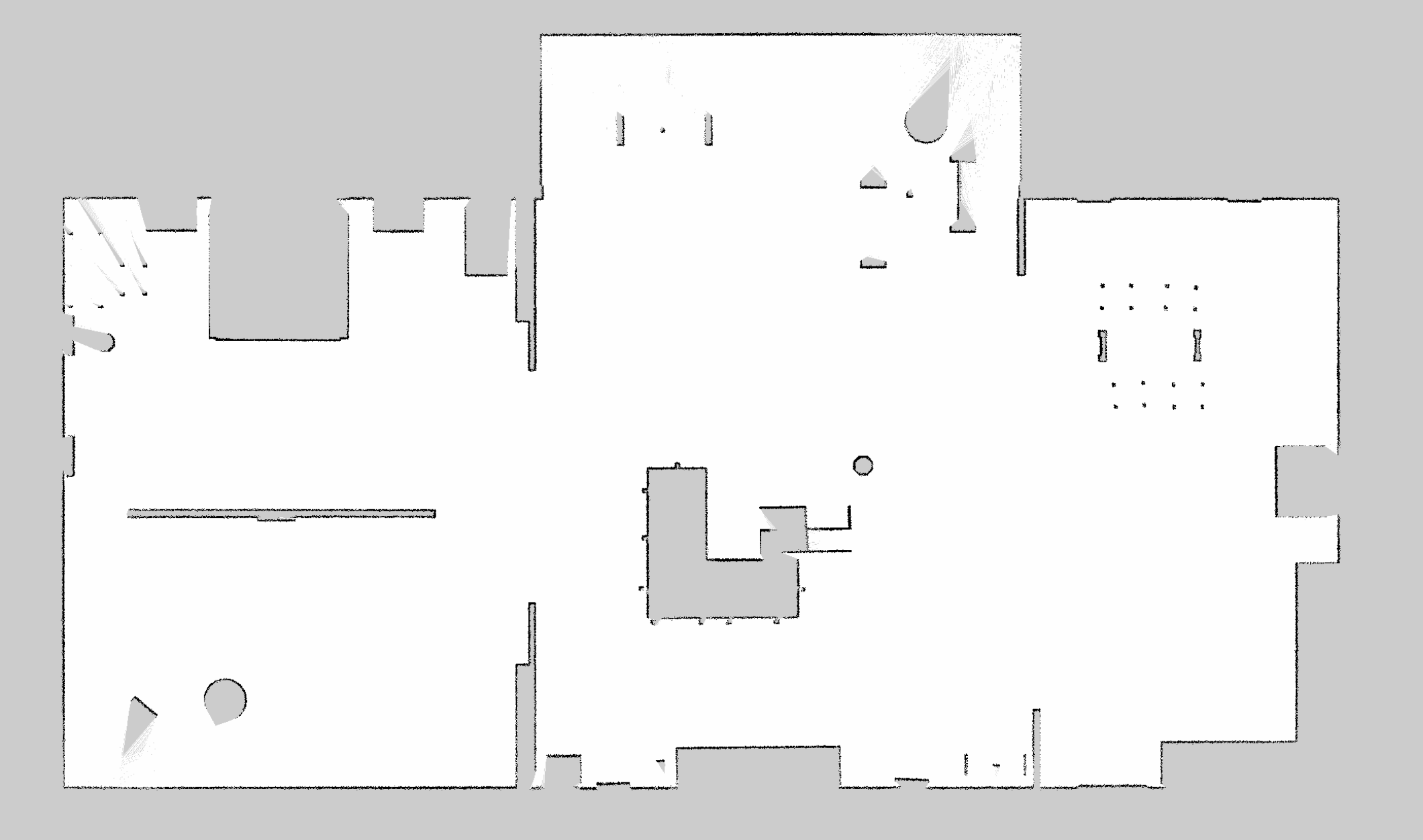 Local Map of the environment