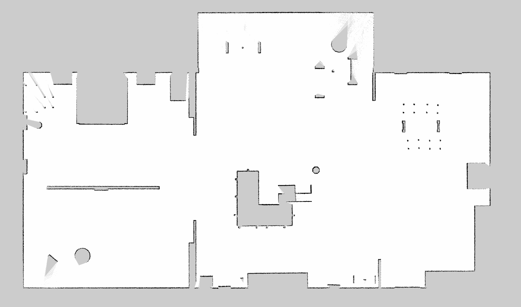 Local Map of the enviroment